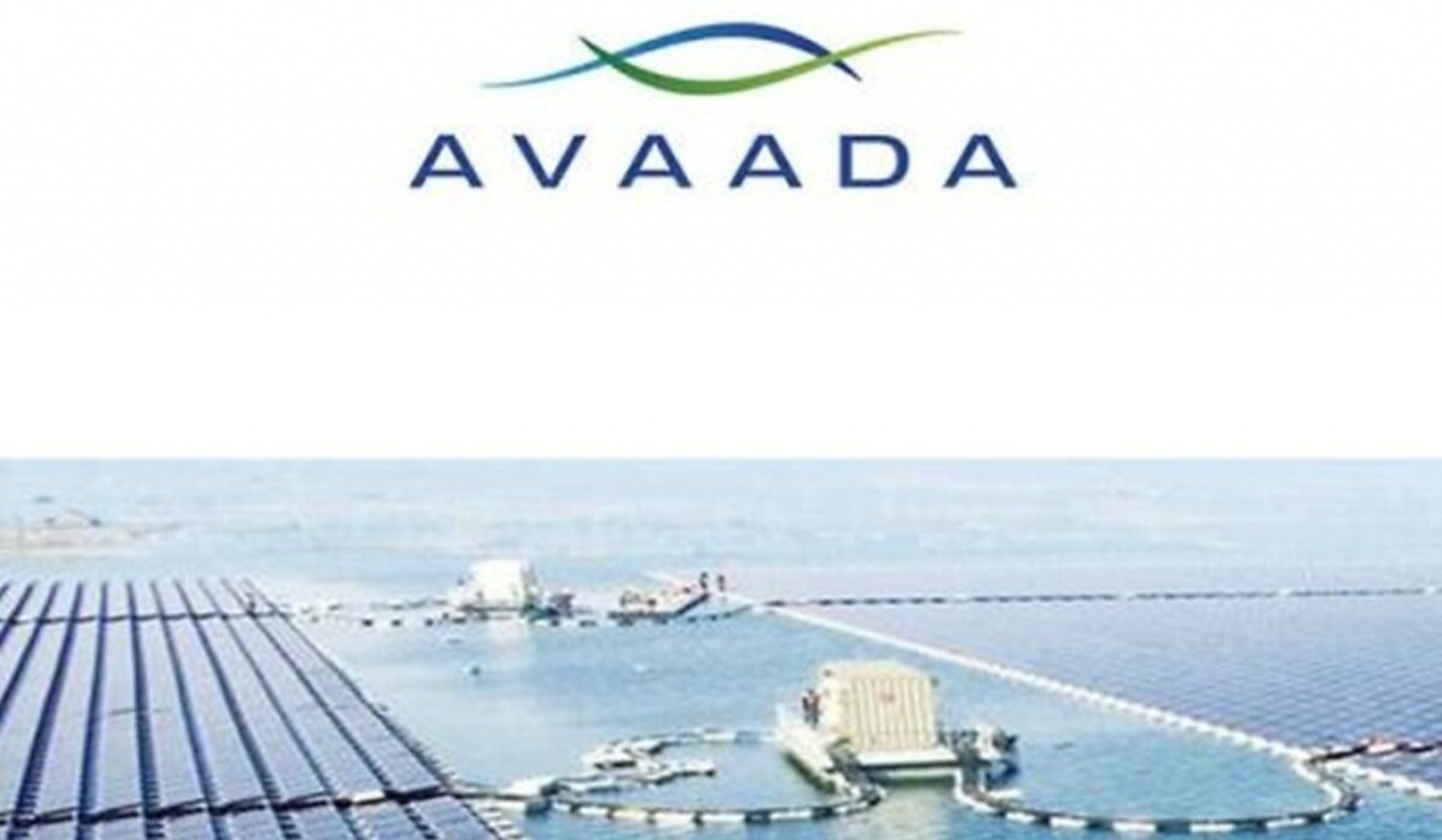 专家称ADA将在年底冲破18.66美元，引发引发关注